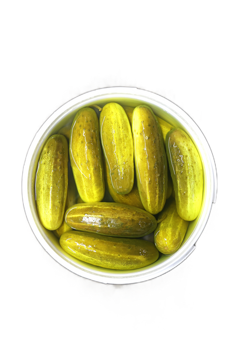 Big Kosher Dill Pickles – Gallon